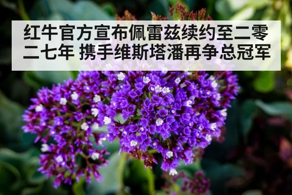 红牛官方宣布佩雷兹续约至二零二七年 携手维斯塔潘再争总冠军